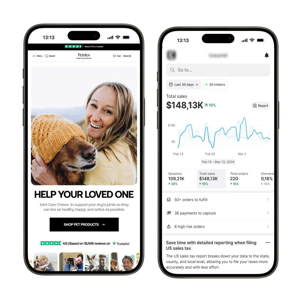 Prebuilt Dropshipping Website